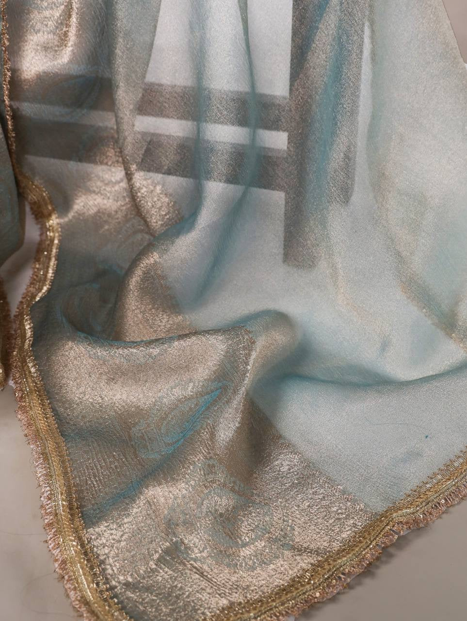 VANDANA — Shimmer Tissue Saree x Gold Lace Border