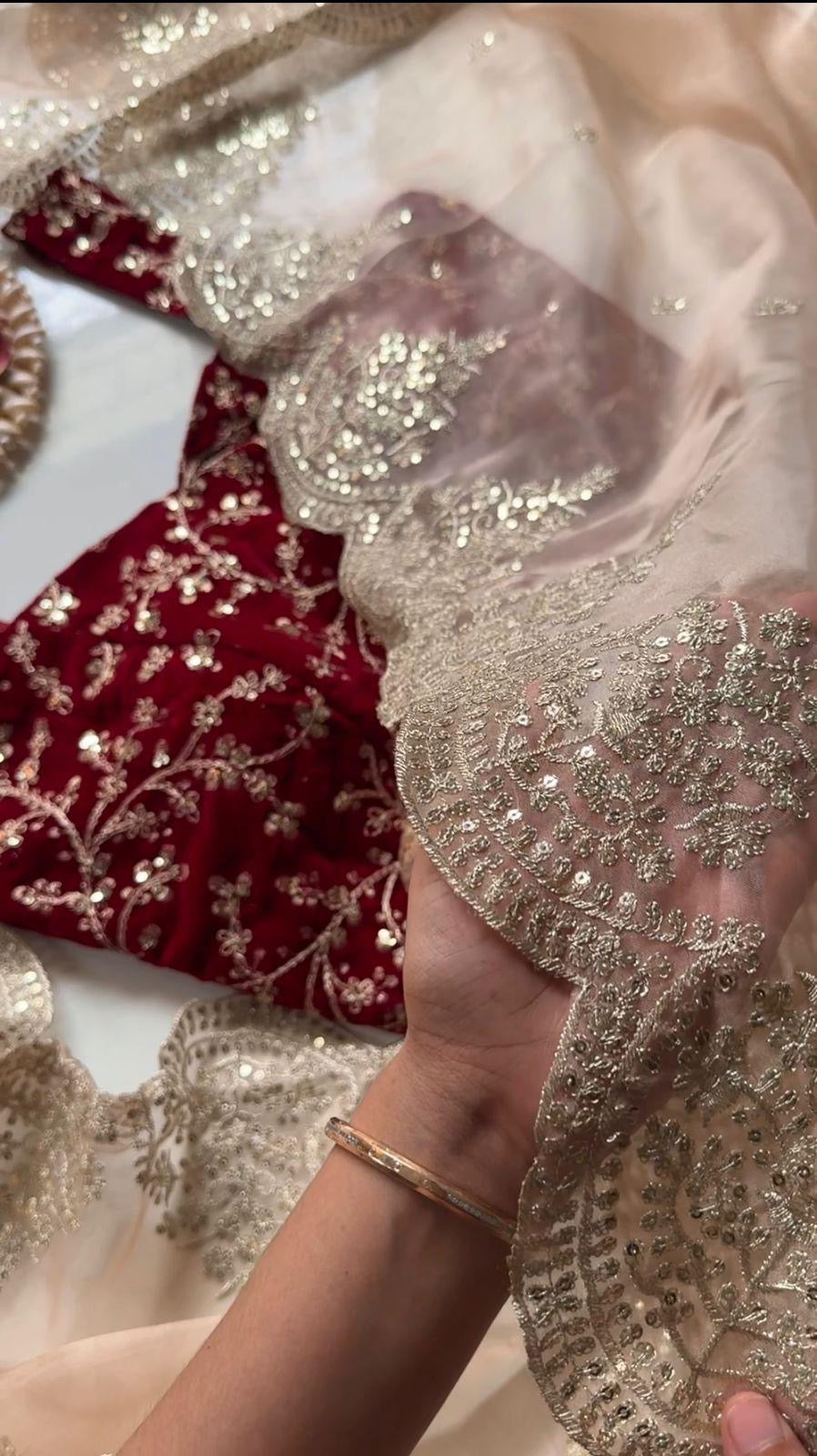 ALICIA — Pretty Peach X Red Shimmer Tissue Saree with Embroidered Blouse