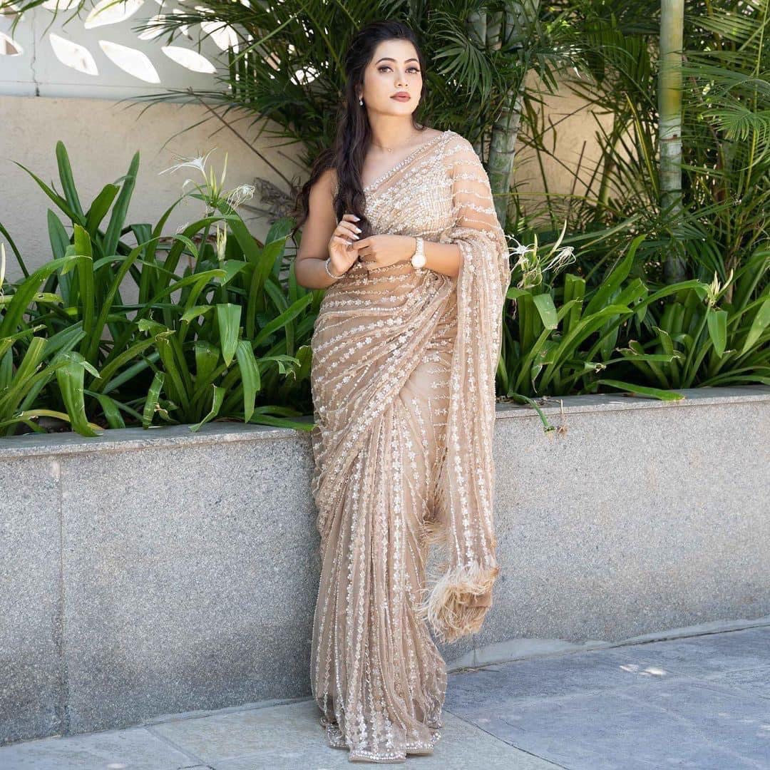 Champagne x Brown Designer Partywear Saree