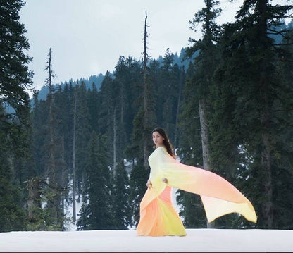 Alia Ombré Saree