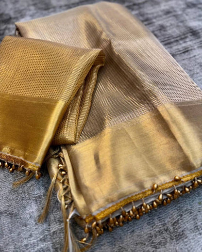 Gold Tissue Saree x Cute Border