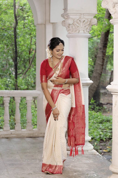 Georgette Silk Saree x Constrast Border