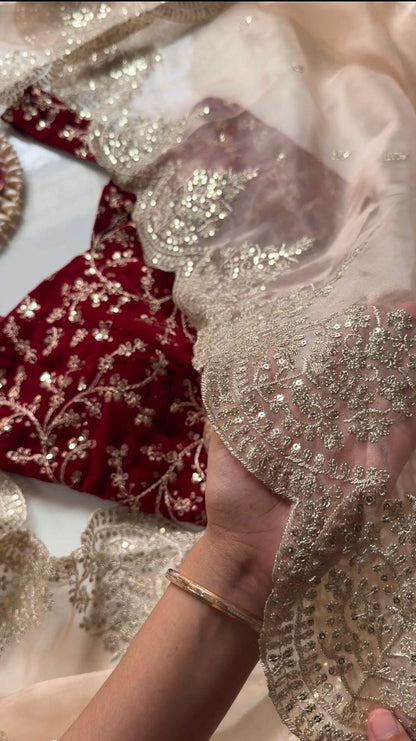 ALICIA — Pretty Peach X Red Shimmer Tissue Saree with Embroidered Blouse