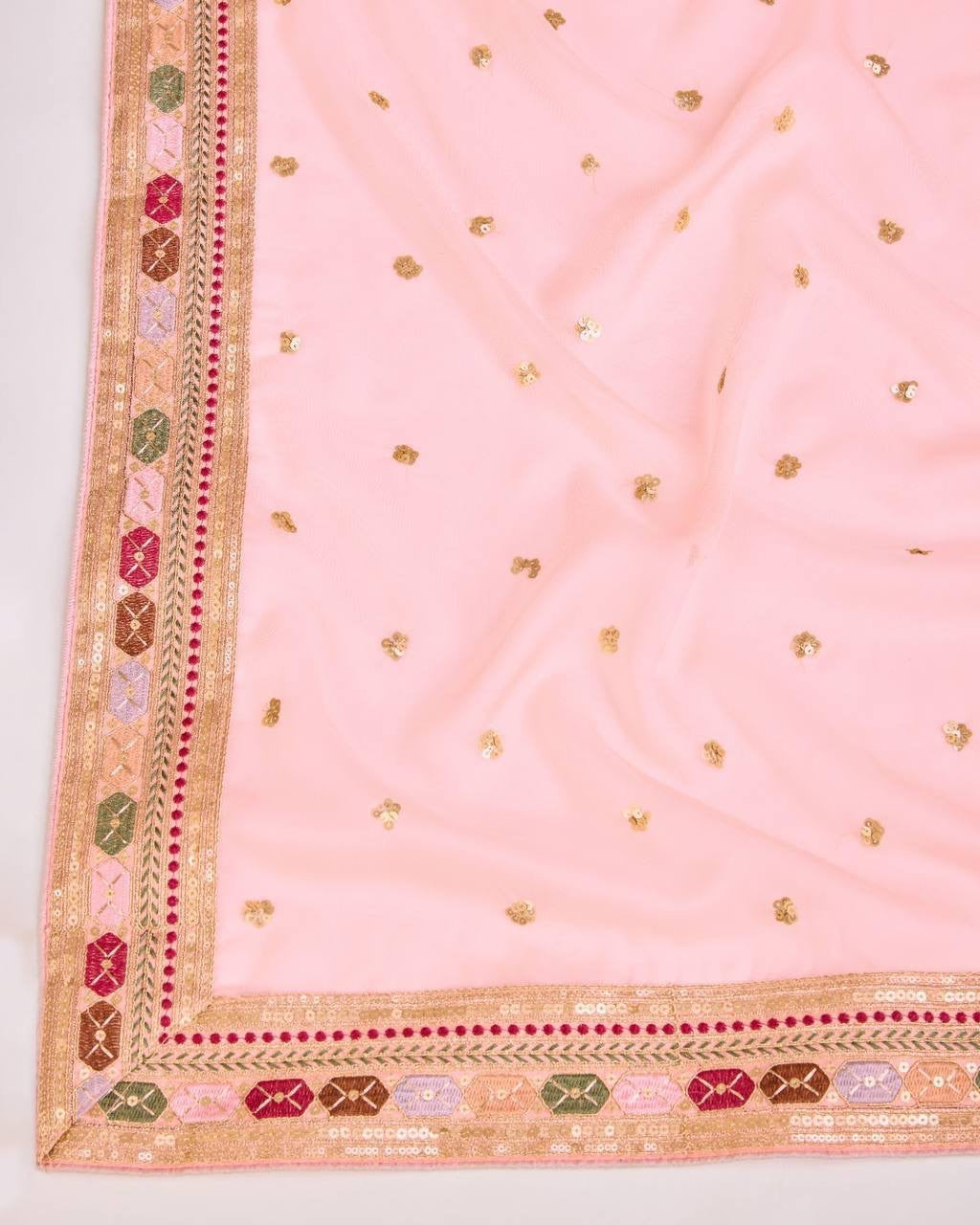 Ahana Tabby Organza Silk Saree with beautiful borders