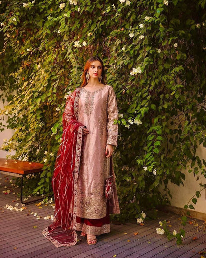 SAYURI — Shimmery Pakistani Suit