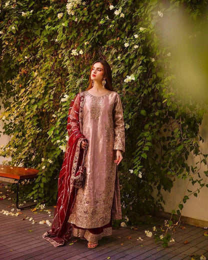 SAYURI — Shimmery Pakistani Suit