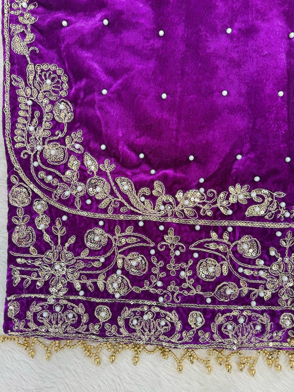 INAYA — Velvet Sharara suit - Laksharaa Sarees