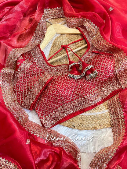 LAYA — Shimmer Saree with Grand Border x Readymade Blouse
