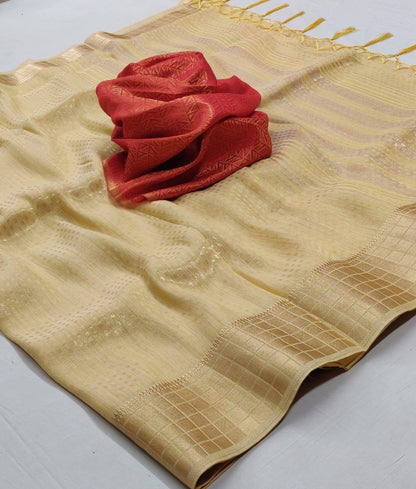 Manya Tissue Silk Saree with Double Blouse Material